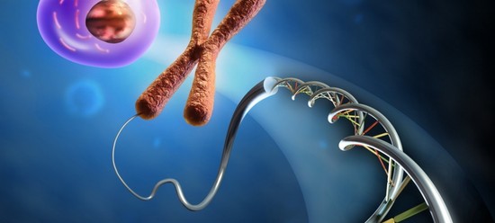 Karyotyping ægtefæller, eller Hvordan planlægger fødslen af ​​en sund baby