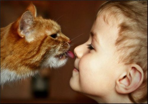 Cat's bur