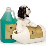 Kosmetik til hunde: Hvordan vælger man?