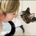 Tumor i en kat