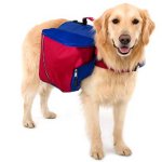 Rygsæk til en hund Rygsæk til en hund