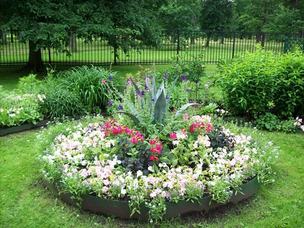 Smukke blomster til en blomsterbed