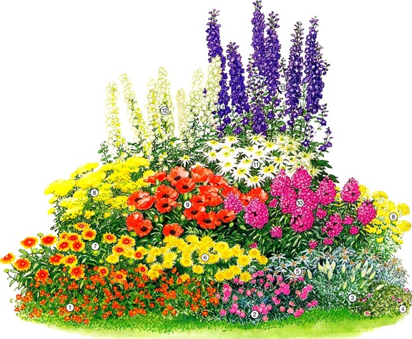 Smukke blomster til en blomsterbed