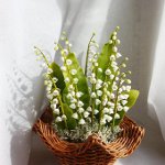 Blomster fra koldt porcelæn Blomster fra koldt porcelæn