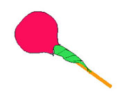Blomster fra slik