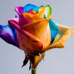Blomster til 8. marts: originale malet buketter Blomster til 8. marts: originale malet buketter