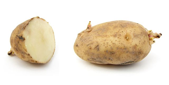 Sådan opbevares kartofler om vinteren