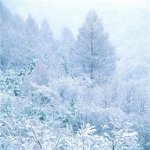 Hvordan man fotograferer vinter? Hvordan man fotograferer vinter?