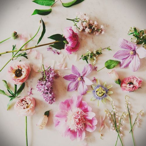 Sådan tørres blomster til en herbarium