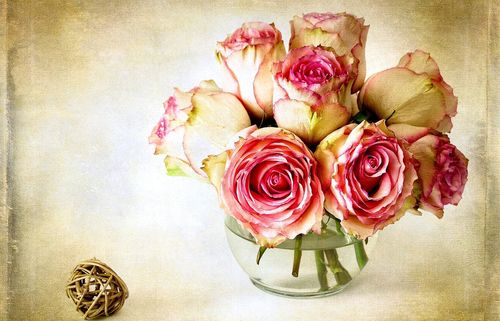 Sådan tørres blomster til en herbarium