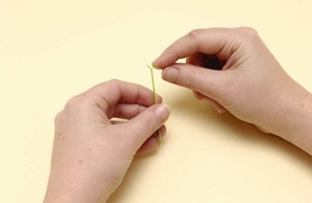Quilling blomster fra papir til begyndere