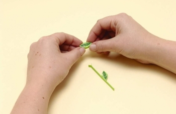 Quilling blomster fra papir til begyndere