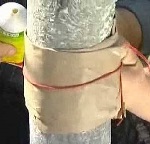 kak-sdelat-lovshiy-pojas-Dlja-plodovyh-derevjev-svoimi-rukami-video