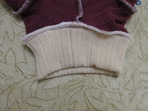 Varm fleece overordnet til en hund