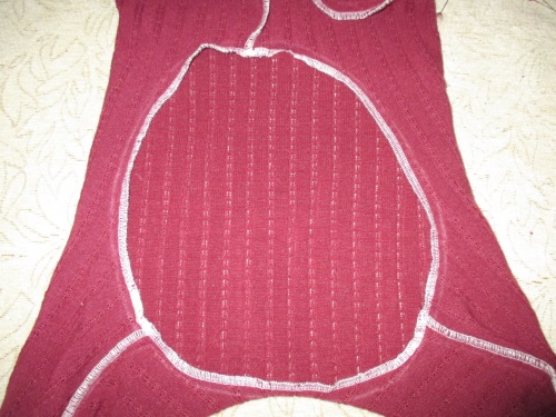 Varm fleece overordnet til en hund