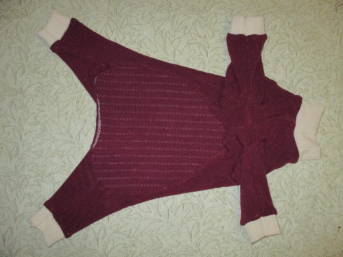 Varm fleece overordnet til en hund