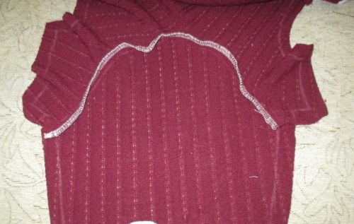 Varm fleece overordnet til en hund
