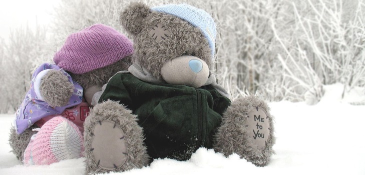 Teddy Bear Toy