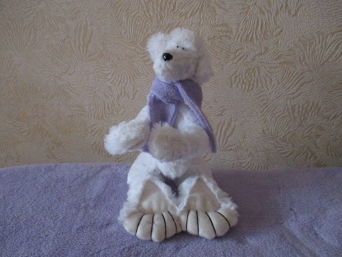 Teddy Bear Toy