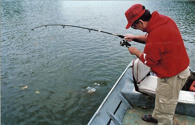 Hvordan man vælger en fiskestang