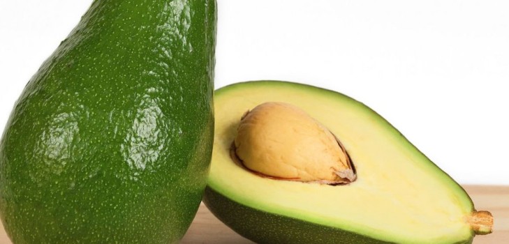 Hvordan man dyrker avocado fra en sten