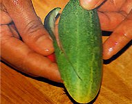 Carving fra grøntsager og frugter?