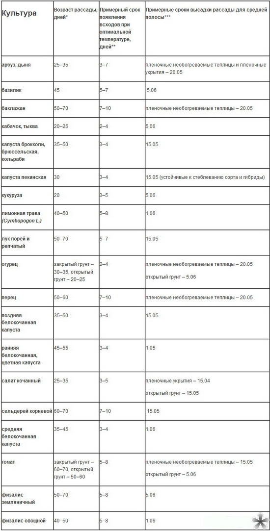 Hvornår skal du plante frøplanter i det åbne jord?