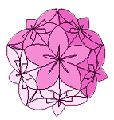 Kusudama papir