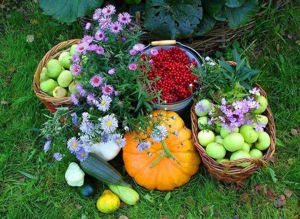 Lunar-kalender for lastbilens landmand for september 2016 for Moskva-regionen, Nordvest, Ural, Sibirien, Ukraine, Hviderusland
