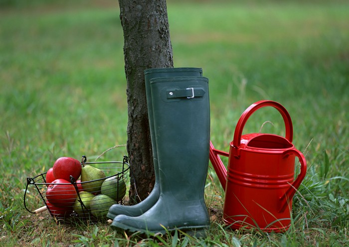 Månekalenderen for horticulturist-gartner i oktober 2015