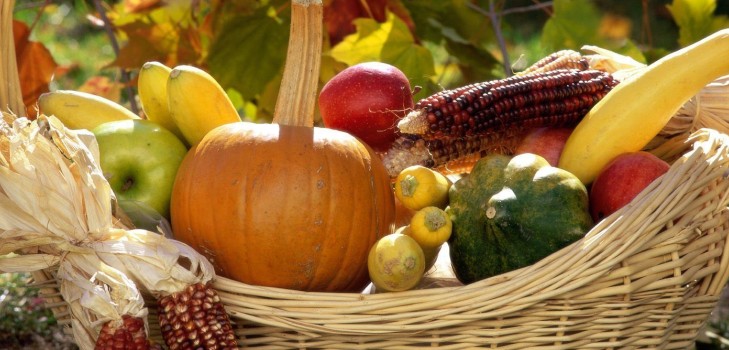 Månekalenderen for horticulturist-gartner i oktober 2015