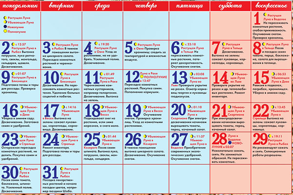 Lunar såning kalender for januar 2017 i bordet for gartnere og lastbil landmænd. Gunstige plantedage til tomater (tomater) til månens frøplanter-2017