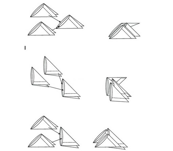 Modular Origami: Dyr - Assembly Schemes