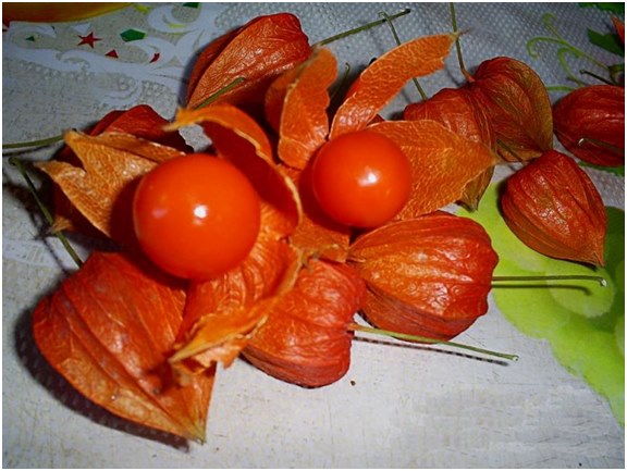 bær af physalis