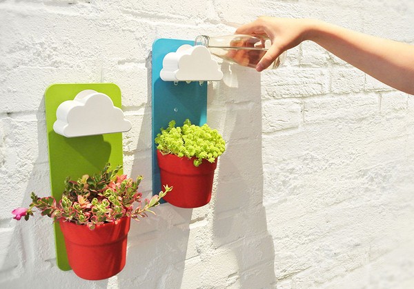Rensning, sedum, hare græs! Dyrkning af succulenter i blomsterbedet og på vindueskarmen