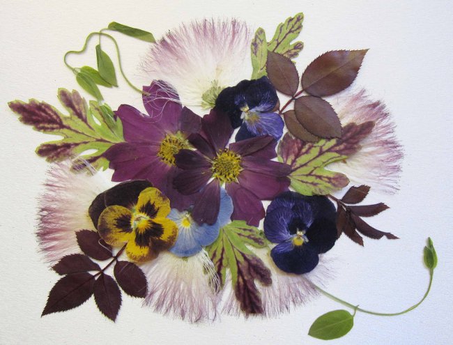 Oshibana: presset blomstret