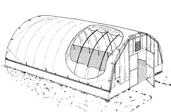 Hot Springs for Seedling: Step-by-Step Guide, Billeder, Videoer