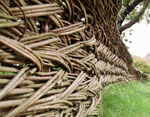 Wickerwork - udsmykning af dit websted Wickerwork - udsmykning af dit websted