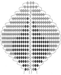 Ordningen med roser fra perler