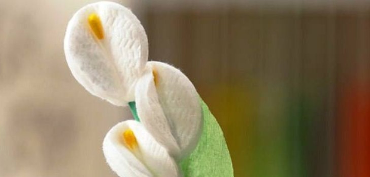 En gave til mor blomster fra en bomuldskiosk mesterklasse med et billede Blomster fra bomuldsuld med egne hænder