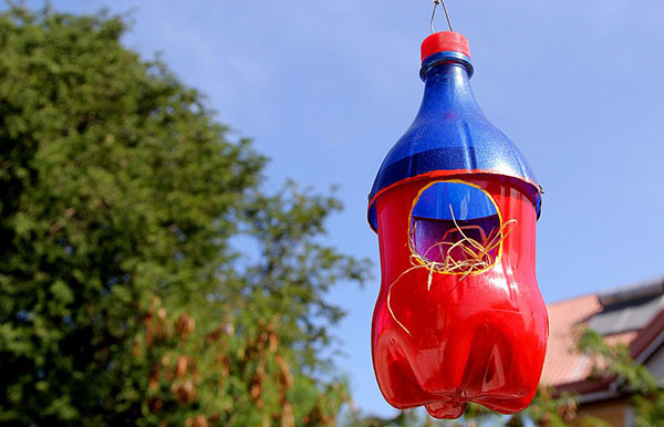 Nyt håndværk fra plastflasker med egne hænder til have og frugthave