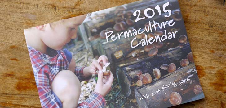 Såningskalender 2015: Vi planlægger at arbejde fra januar til december