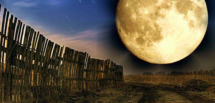 Lunar Seed Kalender for april 2017