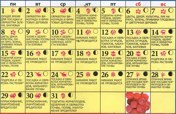 Lunar Seed Kalender for maj 2017