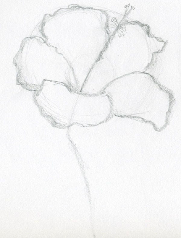 Figurblomst
