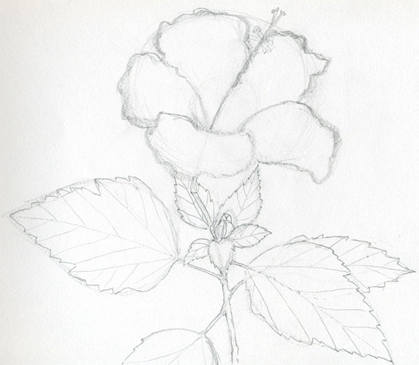Figurblomst