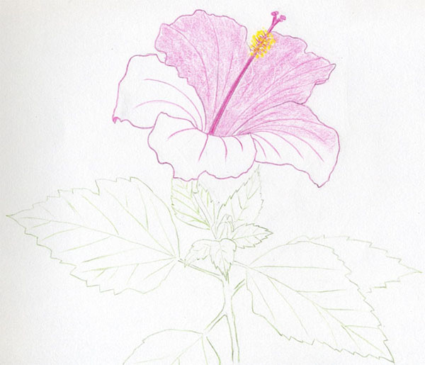 Figurblomst