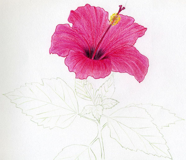 Figurblomst