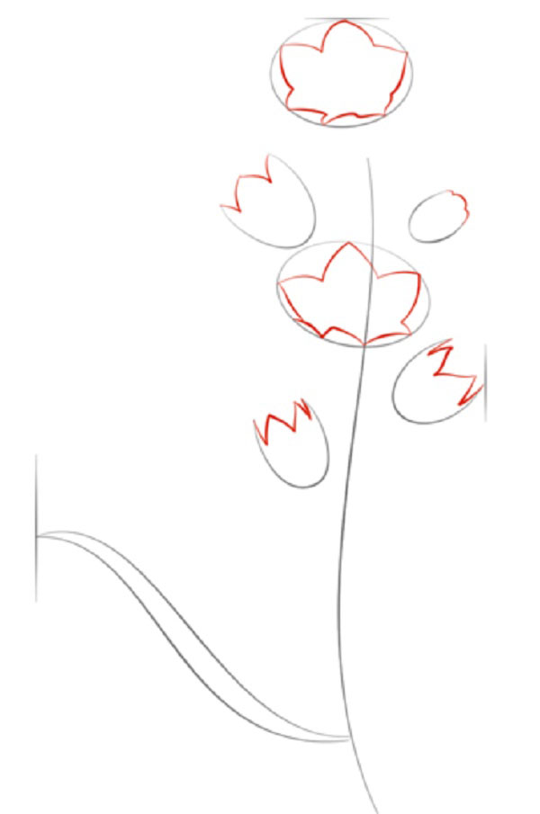 Figurblomst