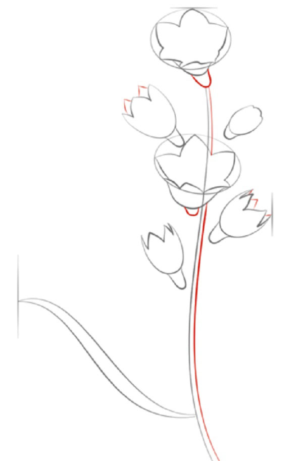 Figurblomst